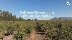 Naturals – Delicious Chilean prune for digestive wellness