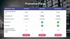 Our promotion plan One Page Template