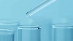 Pipette Drip Drops Into Laboratory Test Glass Tubes Nobody Blue Tone
