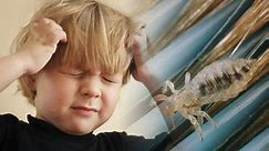 Head lice expert recommends simple home remedy