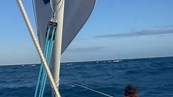 free salt water enema 🫣🌊 #hawaii #sailing #fail | FailArmy