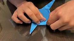 Origami budgie(origami muhabbet kuşu)