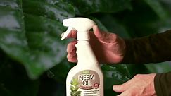 Harris Neem Oil Spray for Indoor and Outdoor Plants, Cold Pressed Ready to Use, 32 oz.