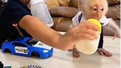 cute pet is cranky and doesn't want to be given milk by his baby friend