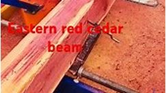 Eastern red cedar beam for off grid cabin!