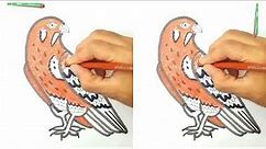 LEARN TO DRAW FALCON BIRD| Falcon bird colouring with step by step for kids and toddlers