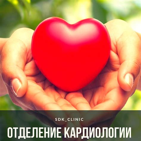 СДК+ - Сердце 💜- один из самых важных органов человека. Кардиология ...