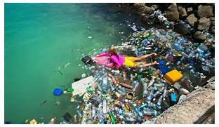 Cleaning up Trash Island: One Man's Waste is Another Woman's Bikini |...