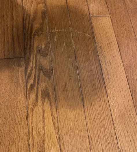 How To Remove Water Stains From Wood Floors: Easy & Effective Tips ...