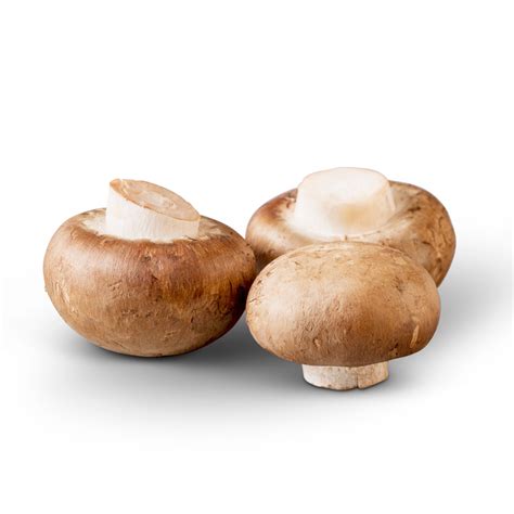 Baby Bella Mushrooms Cause Diarrhea at Teresa McGraw blog