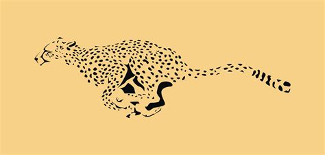 vector Cheetah, leopard - Vector | Vector images, Vector, Stock vector