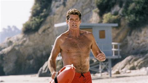 « le film alerte à malibu n'en avait que le titre. Alerte à Malibu : David Hasselhoff rejoint le casting du ...