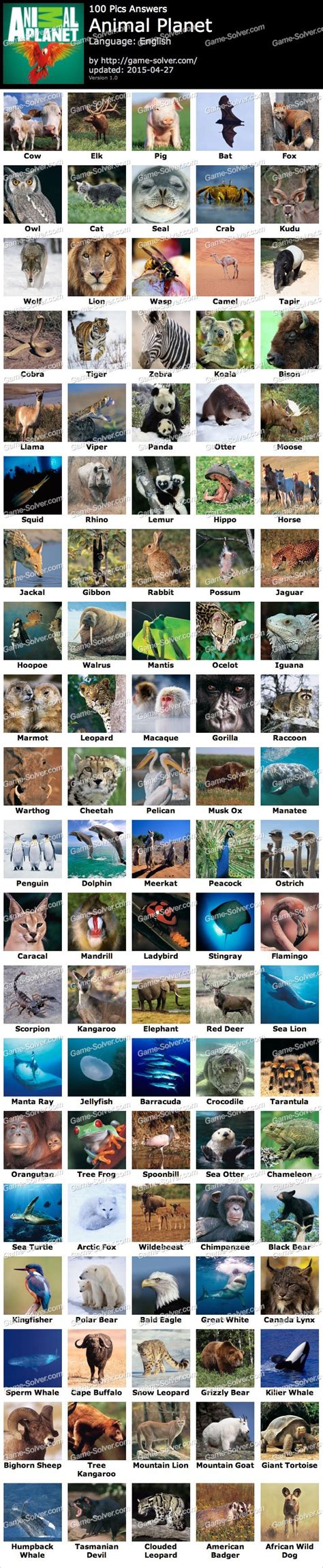 Rabbit, ostrich, turtle, tiger, and camel words gameshow quiz. 100 Pics Animal Planet - Game Solver