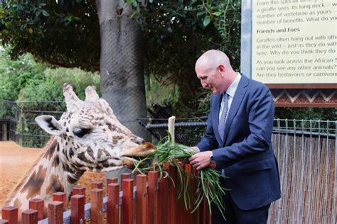 Local news, businesses, lifestyle, property & travel for #perth & wa. Perth Zoo's giraffe viewing tower opens for eye-level ...