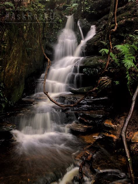 Whether you are a nature lover looking to do world class bush walks, or simply looking for a. Katoomba Falls and Witch's Leap Katoomba