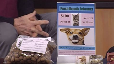 Animal medical clinic has been in the community for more than 30 years. Animal Medical Clinic talks Pet Dental Health Month | KHQA