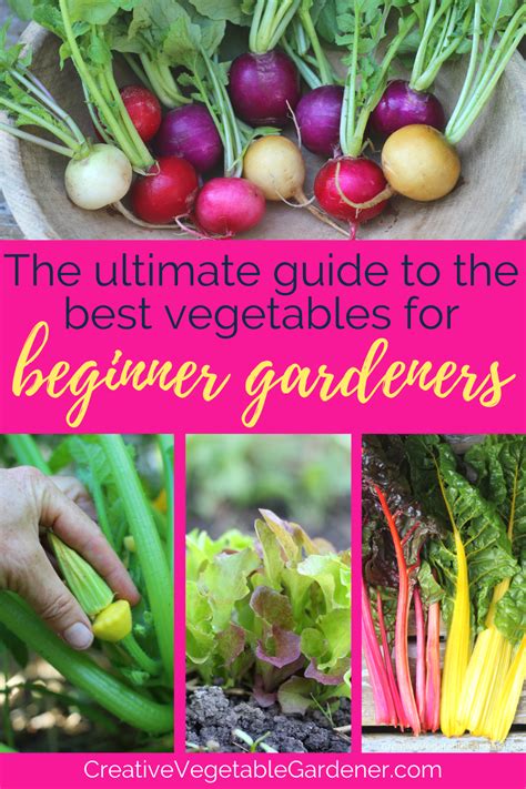 Home gardening tips best vegetable garden layout ideas and designs. Pin on Vegetable Garden Tips from the Blog