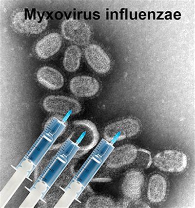 Les patients se retrouvent donc immunodéprimés. Immunodéprimés et vacination grippe/pneumocoque ...