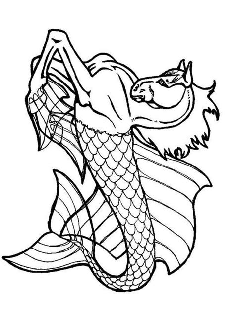 Cartoon seahorse drawing contour for coloring. Coloring page sea horse - img 6036. | Horse coloring ...