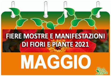 Sfoglia il volantino e scopri tutti gli sconti e le offerte settimanali per una spesa. Lidl Riva Fiori Domani - Teleskop Montagestutze Mit ...