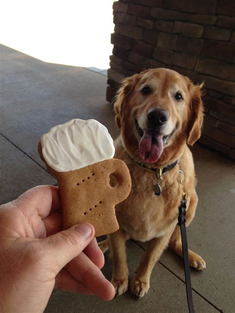 Welcome to golden dog title & trust it's a different kind of name for a different type of title company. Brusky at his favorite dog bakery getting a treat | Dog ...