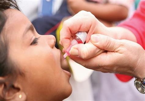 إنطلاق حملة تطعيم شلل الاطفال بالاسكندرية. ماذا يحدث لو تأخر حصول طفلك على تطعيم شلل الأطفال؟.. أطباء ...