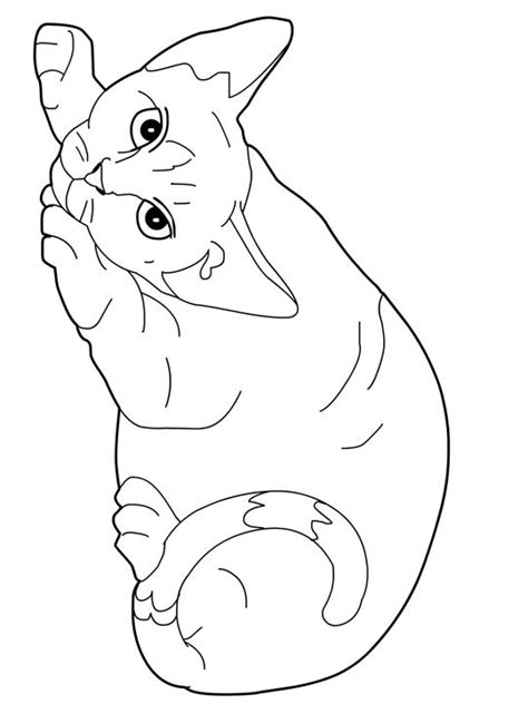 Lovely kitten coloring pages for children. Cats Coloring Pages - Coloring Kids