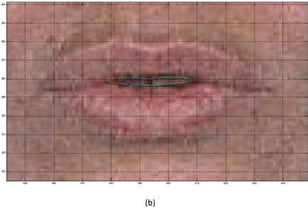 This is called nearest neighbor interpolation. A gauche, image illustrant l'effet de l'interpolation non ...