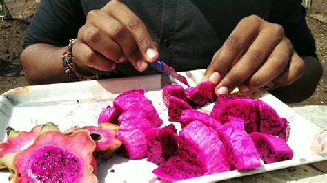 We're a community of creatives sharing everything minecraft! RED Dragon Fruit Cutting in GDF | Gujarat Dragon Fruit ...