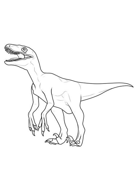 Bilder zum ausmalen und ausdrucken dinosaurier. Kostenlose Malvorlage Dinosaurier und Steinzeit: Dinosaurier: Velociraptor zum Ausmalen