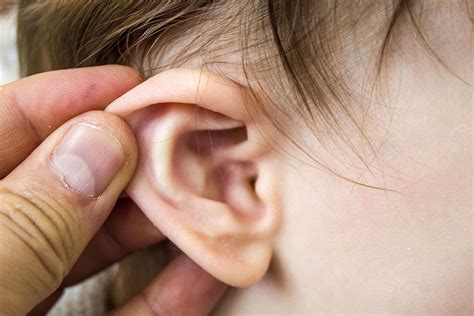 There are different types of ear infections. Ear infections: Symptoms and Causes | Pediatric Partners ...