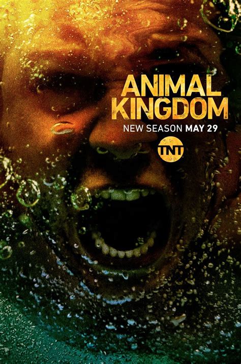 Последние твиты от animal kingdom (@animalkingdom). Nuovo trailer e poster per la terza stagione di Animal Kingdom