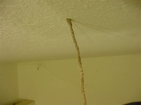 These are signs of a termite infestation. Interesting Stuff On My Ceiling - Contamination Forum ...