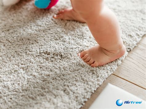 How to get mildew out of carpet. How to Get Mildew Smell Out of Carpet | Airfree Blog