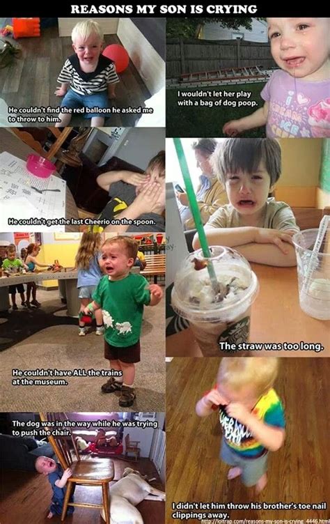 50 funny stupid jokes guaranteed to make your mates laugh you never know the reaction a joke will get. Pin by Sidney Durham on Things that make me laugh | Crying ...