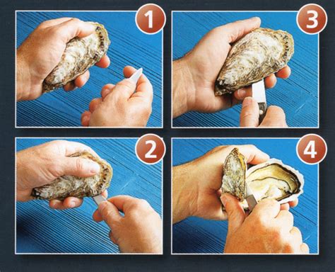 Dopo cinque minuti, utilizzare un termometro per alimenti per controllare la temperatura. Come aprire le Ostriche | Bixal