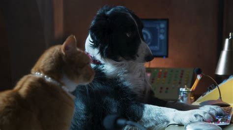 Paws unite movie reviews & metacritic score: Cats and Dogs 3 Paws Unite 2020 BDRip XviD AC3-EVO ...