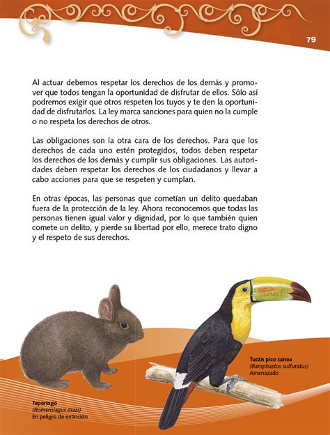 Para los grados de 1°, 2°, 3° y 4° es un libro de texto de formación cívica y ética, mientras que para 5° y 6°, además del libro de texto se incluye un cuaderno de aprendizajes. Formación Cívica y Ética Cuarto grado 2017-2018 - Ciclo ...