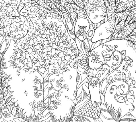 Enchanted forest colouring petition at fabriano boutique. Inspirational coloring pages from Secret Garden, Enchanted ...