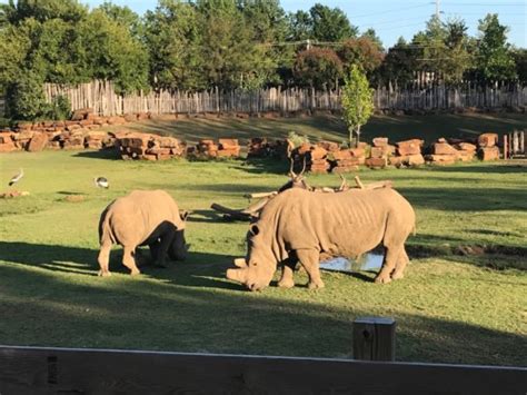 The tulsa zoo is closed friday, june 15th. Another Whirlwind Week - TulsaKids Magazine