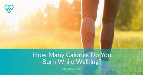 It all depends on your. How Many Calories Do You Burn While Walking? ⎮ TheFitBay