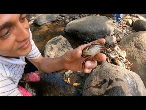 Es inhumano e innecesario para satisfacer el hambre. COMO Y DONDE ENCONTRAR CANGREJOS DE RÍO - QUE HACER! - YouTube