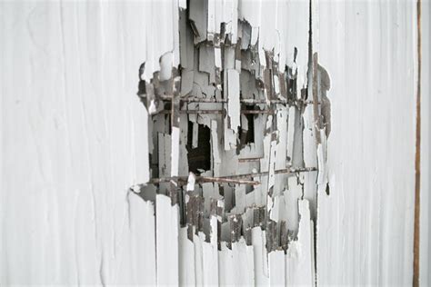 Sketchfab laser cut decorative wall tree wall art decoration cutout home wall art written on wood wall mounted decor and hanging : Seth Clark - "Lath Study II", deteriorating architecture, framed wall-hanging white sculpture ...