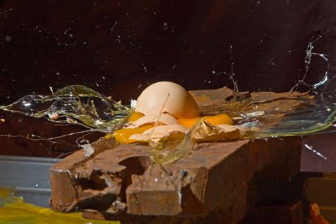 egg drop | Egg drop from 1 meter. 8ms delay from beam break … | Flickr