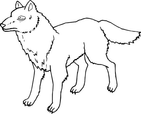 Their paw prints rival that of an adult human hand. Minnesota Wolf Coloring Page - Download & Print Online ...