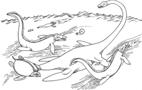 Elasmosaurus was about 14 m (46 ft) in length and weighed over 2,000 kg (2.2 short tons), making it among the largest plesiosaurs.citation needed it differs from all other plesiosaurs by having six teeth per premaxilla. Saurier Im Meer Ausmalbild & Malvorlage (Tiere)