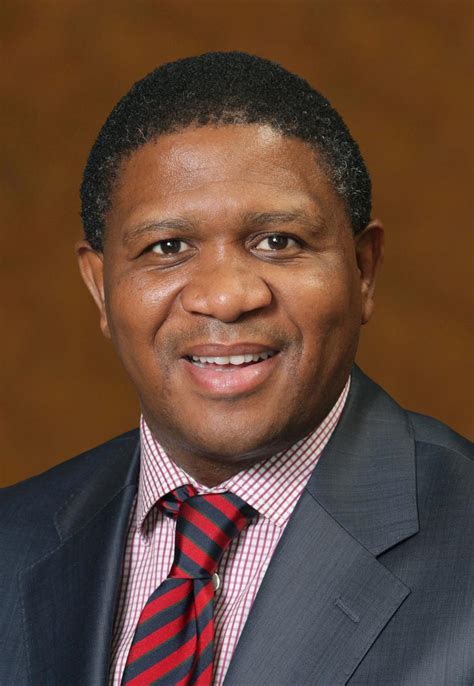 Anc elections head, fikile mbalula