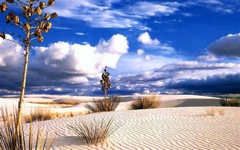 Filtred list of synonyms for desert is here. Father's Writings: First Sunday of Lent: More About the ...