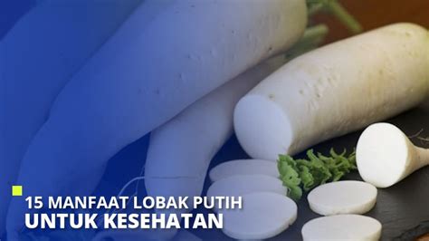 Jika anda ingin mengolah lobak, anda bisa merendam terlebih. 15 Manfaat Lobak Putih untuk Kesehatan - Super