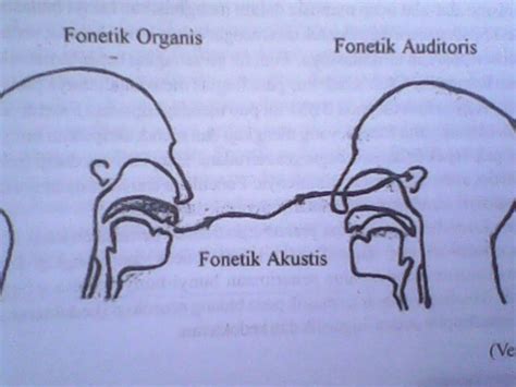 Sintaksis merupakan salah satu studi dan sebuah aturan dari hubungan kata satu sama lainnya sebagai penyatuan gagasan dan sebagai bagian dari wacana adalah salah satu satuan dari bahasa yang lengkap sehingga dalam hirarki gramatikal merupakan satuan gramatikal tertinggi atau terbesar. Tugas UAS | bahasa dan sastra indonesi